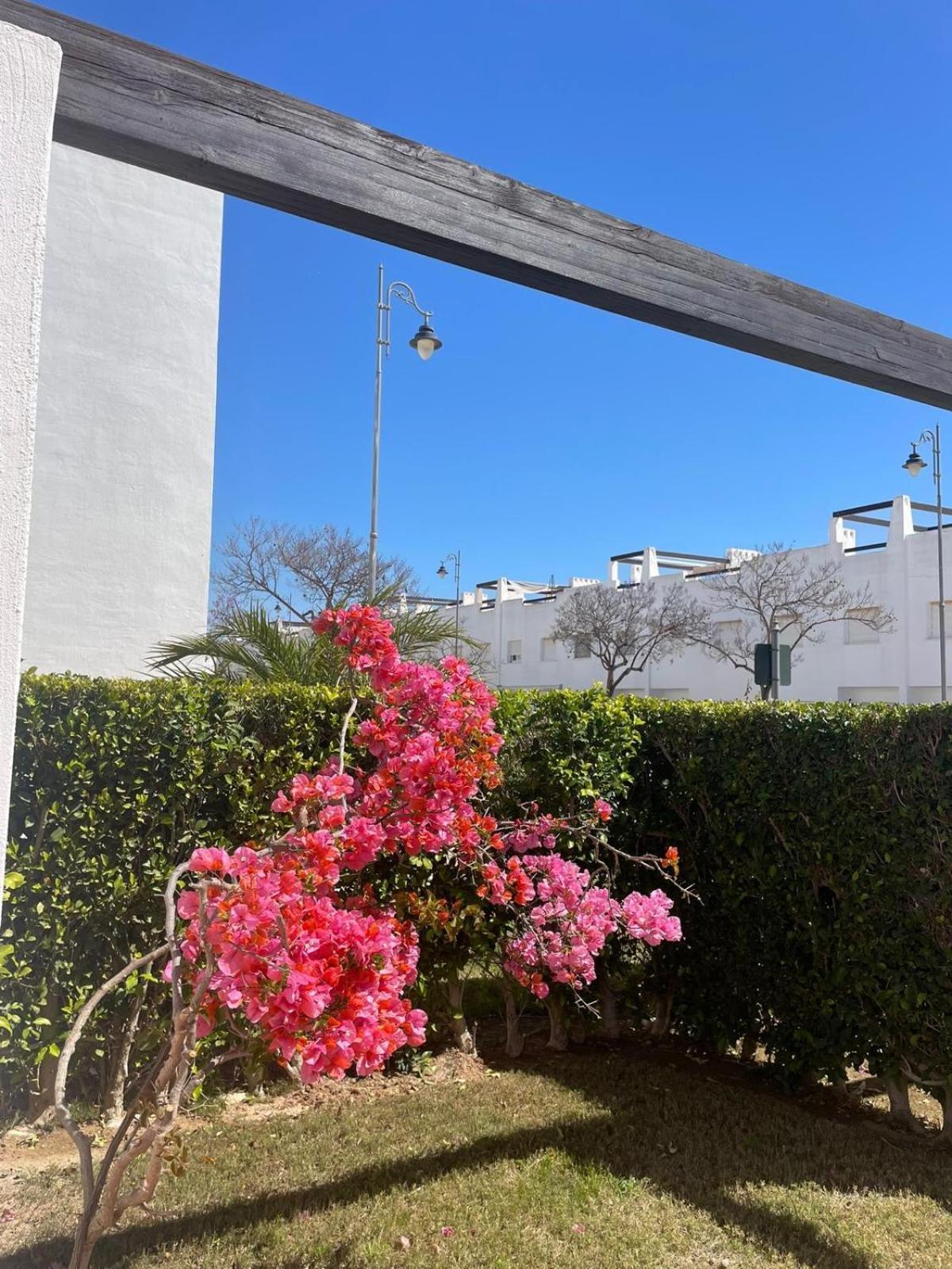 Casa Luisa Jardin 10 Condado De Alhama Apartman Alhama de Murcia Kültér fotó